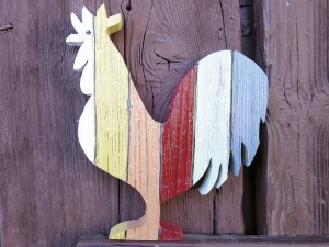 Coq multicolore