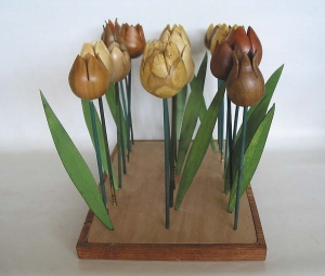 Marguerites et tulipes