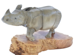 Rhinocéros