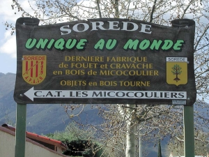 ESAT Les Micocouliers