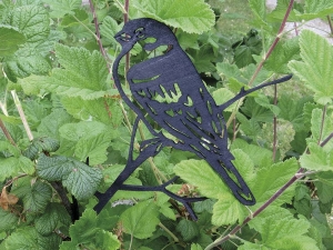 Mésange