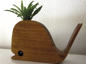 Coq Une baleine